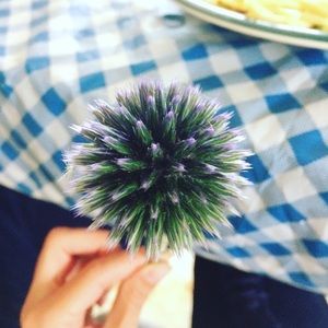 Thanks for looking 🤗 come back soon...